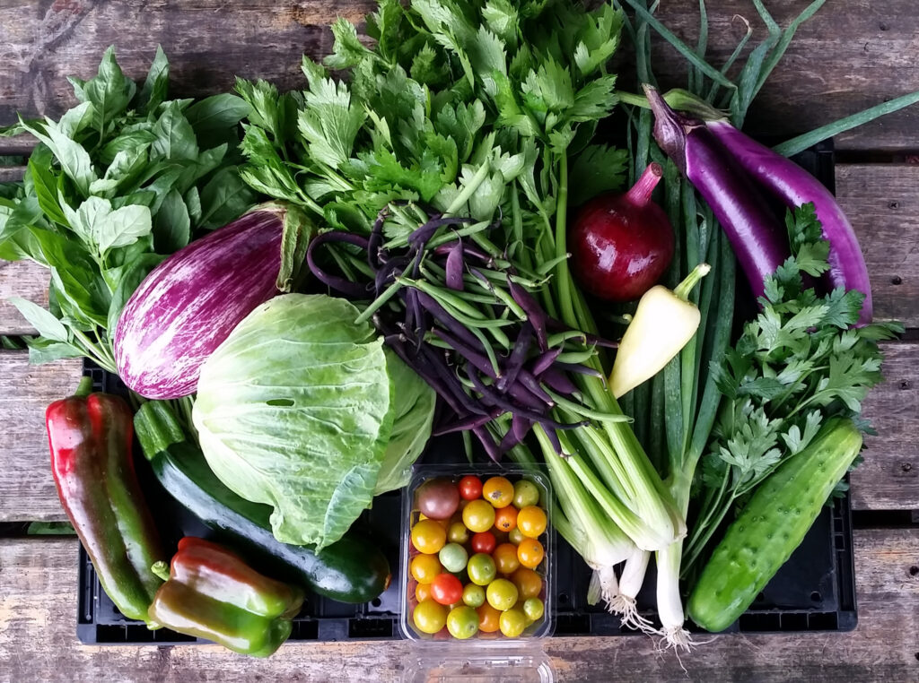 How to Pick a CSA