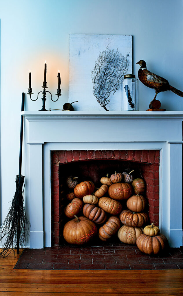 Savor the Season: Fall Vibes